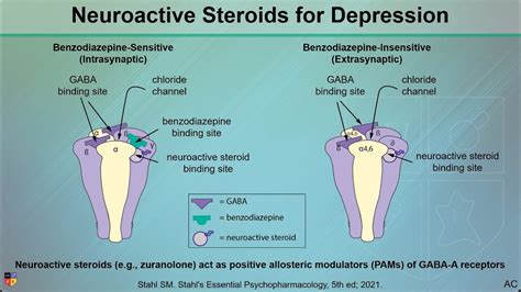 neuroactive steroids news.